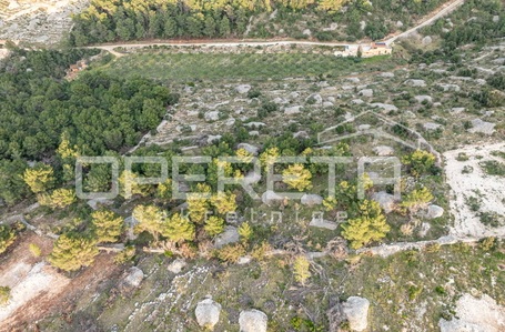 opereta_carousel_photo_4