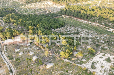 opereta_carousel_photo_3