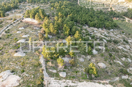 opereta_carousel_photo_5