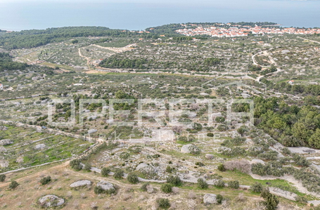 opereta_carousel_photo_3