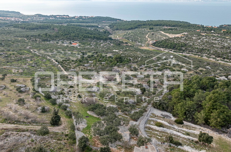 opereta_carousel_photo_2