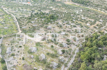 opereta_carousel_photo_5