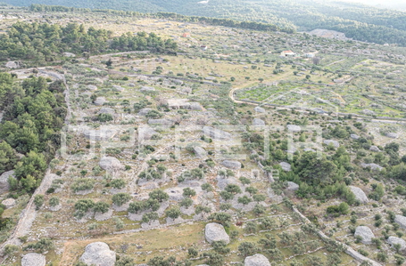 opereta_carousel_photo_6