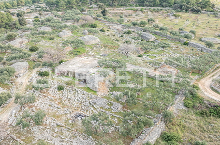 opereta_carousel_photo_7