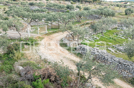 opereta_carousel_photo_8