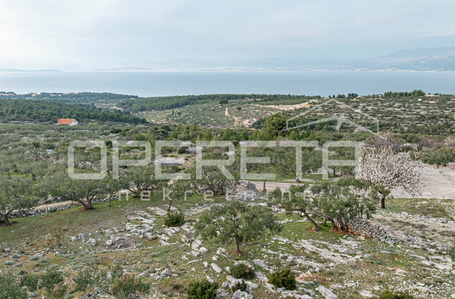 opereta_carousel_photo_9