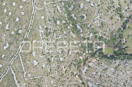 opereta_carousel_photo_3