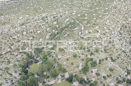 opereta_carousel_photo_4