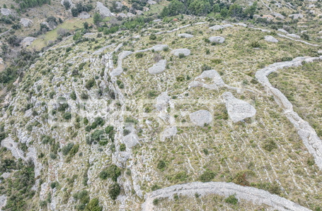 opereta_carousel_photo_7