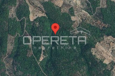 opereta_carousel_photo_3