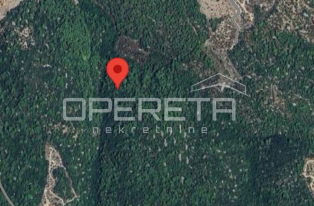 opereta_carousel_photo_5