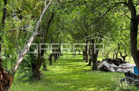 opereta_carousel_photo_3