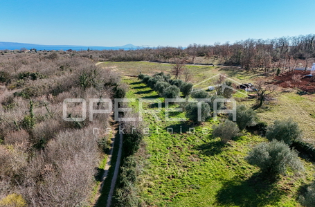 opereta_carousel_photo_2