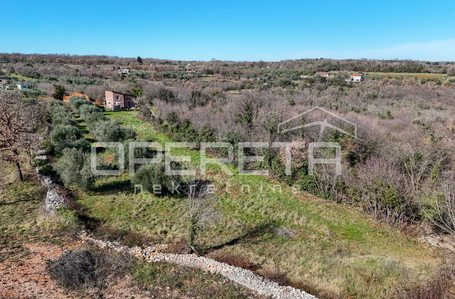 opereta_carousel_photo_3