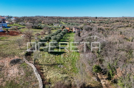 opereta_carousel_photo_4