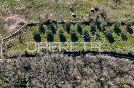 opereta_carousel_photo_6