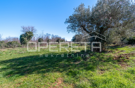 opereta_carousel_photo_9