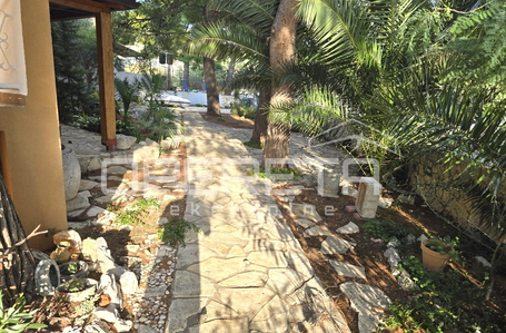 opereta_carousel_photo_8