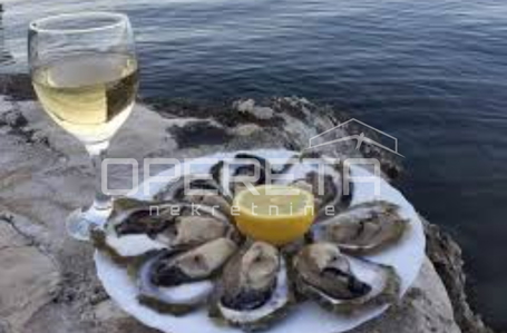 opereta_carousel_photo_8