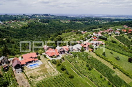 opereta_carousel_photo_4