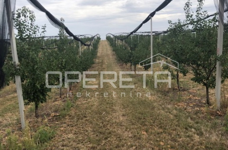 opereta_carousel_photo_6