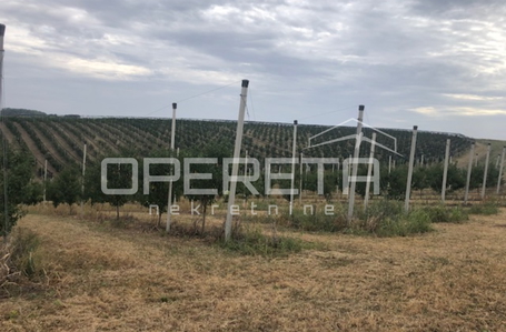 opereta_carousel_photo_7