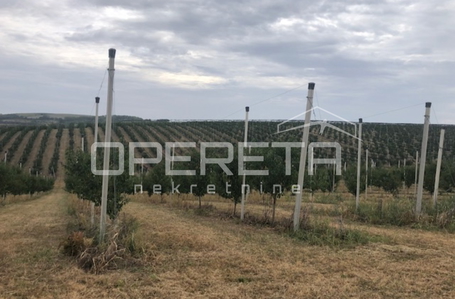 opereta_carousel_photo_2