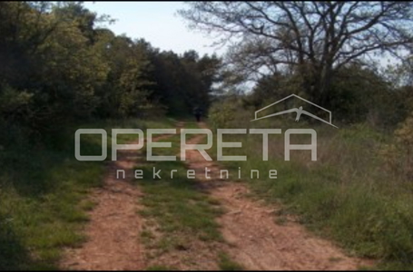 opereta_carousel_photo_2