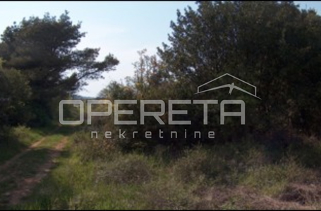 opereta_carousel_photo_3