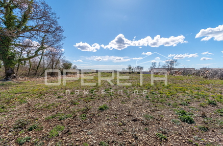 opereta_carousel_photo_2