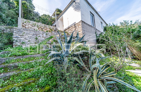 opereta_carousel_photo_9