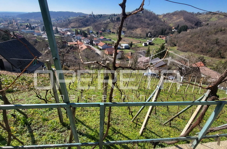 opereta_carousel_photo_9