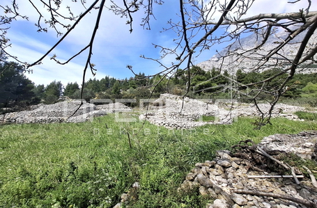 opereta_carousel_photo_8