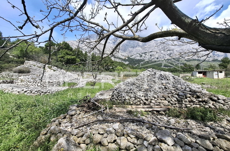 opereta_carousel_photo_9