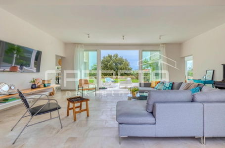 opereta_carousel_photo_6