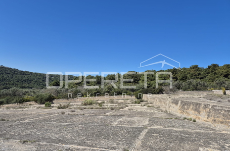 opereta_carousel_photo_2