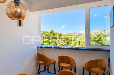 opereta_carousel_photo_5