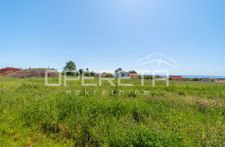 opereta_carousel_photo_2