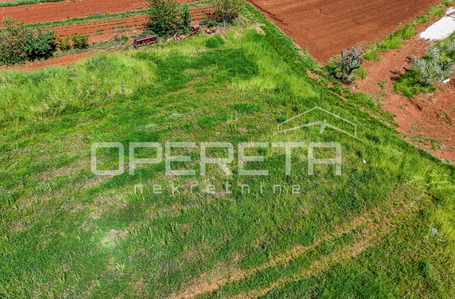 opereta_carousel_photo_3