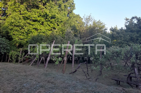 opereta_carousel_photo_3