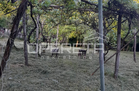 opereta_carousel_photo_5