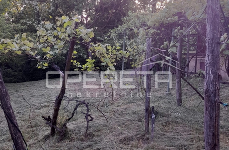 opereta_carousel_photo_7