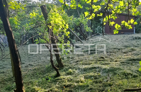 opereta_carousel_photo_9