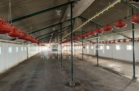 opereta_carousel_photo_6