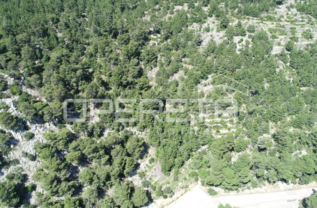 opereta_carousel_photo_5