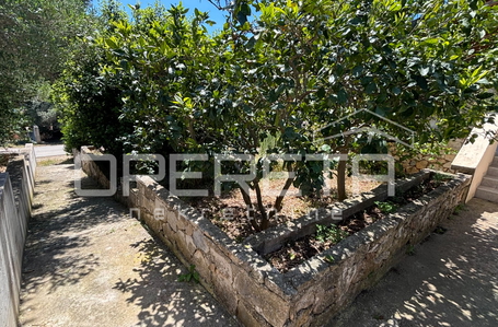 opereta_carousel_photo_4