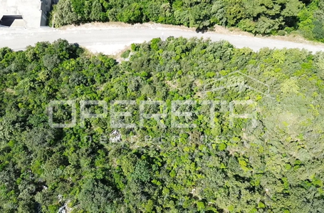 opereta_carousel_photo_6