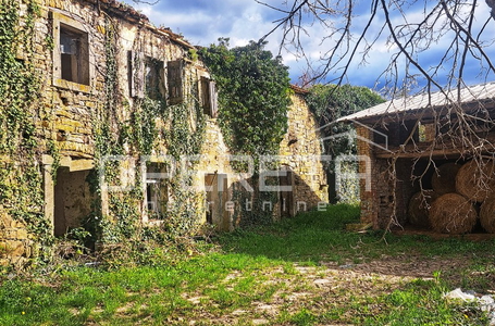 opereta_carousel_photo_4