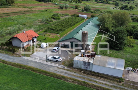 opereta_carousel_photo_2