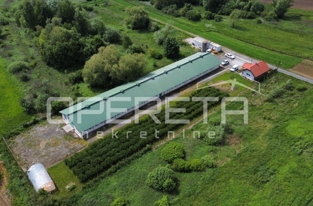 opereta_carousel_photo_4